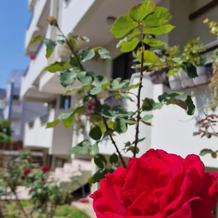 아파트 Center Luxury Spacious A&m Rhodes City